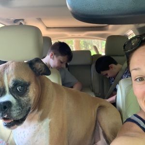 Meet your Posher, Devon